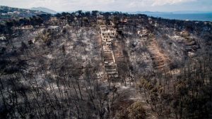 fires-mati - TA NEA - TA NEA