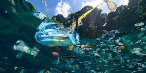 plastic-seas-660x330 - TA NEA - TA NEA