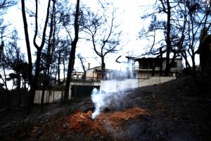 Smoke rises in front of burnt houses following a wildfire in the village of Mati, near Athens - TA NEA - TA NEA