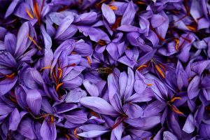 GREEK SAFFRON - TA NEA - TA NEA