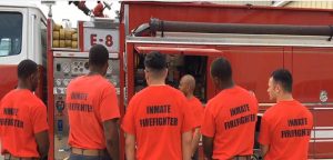 inmate firefighters 1_0 copy - TA NEA - TA NEA