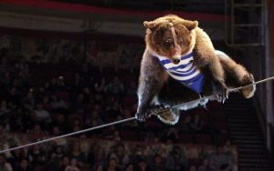 circus-on-fontanka - TA NEA - TA NEA
