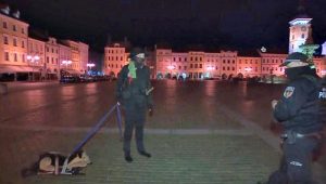 3_a-man-caught-walking-a-toy-dog-via-czech-television-pwdwv - TA NEA - TA NEA