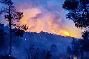 FIRES - TA NEA - TA NEA