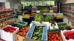 Melbourne produce companies struggle as food costs soar - TA NEA - TA NEA