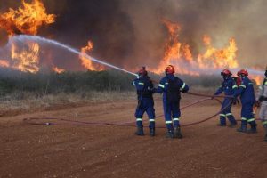 magoula fires - TA NEA - TA NEA