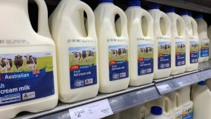 milk increase - TA NEA - TA NEA