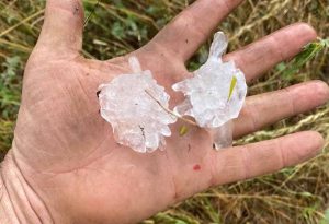 Ferocious storms lash Victoria - TA NEA - TA NEA