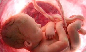 pregnacy - TA NEA - TA NEA