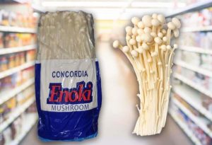 enoki - TA NEA - TA NEA