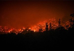 Fires 2 - TA NEA - TA NEA
