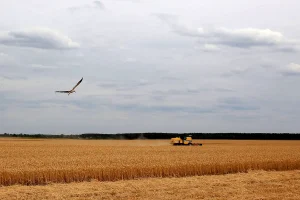 Ukraine-land - TA NEA - TA NEA