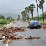 JAMAICA MELISSA - TA NEA