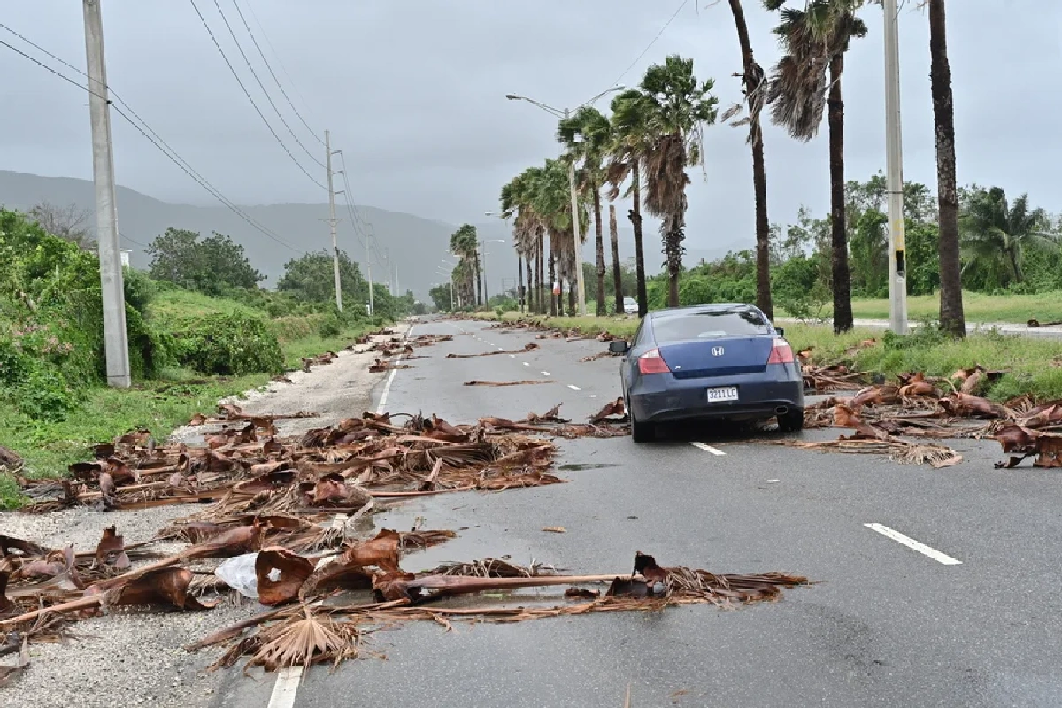 JAMAICA MELISSA - TA NEA