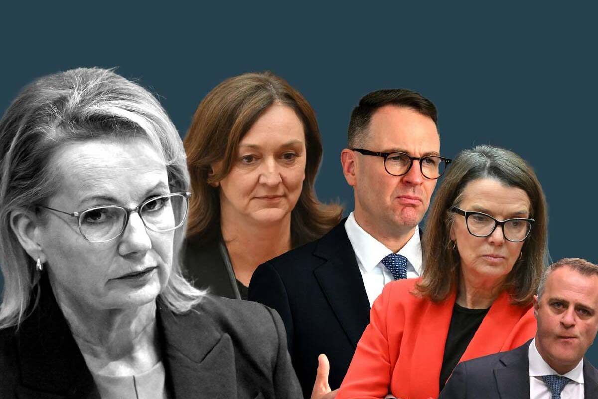 Fractured Liberals on the brink: Can Sussan Ley hold the Line?