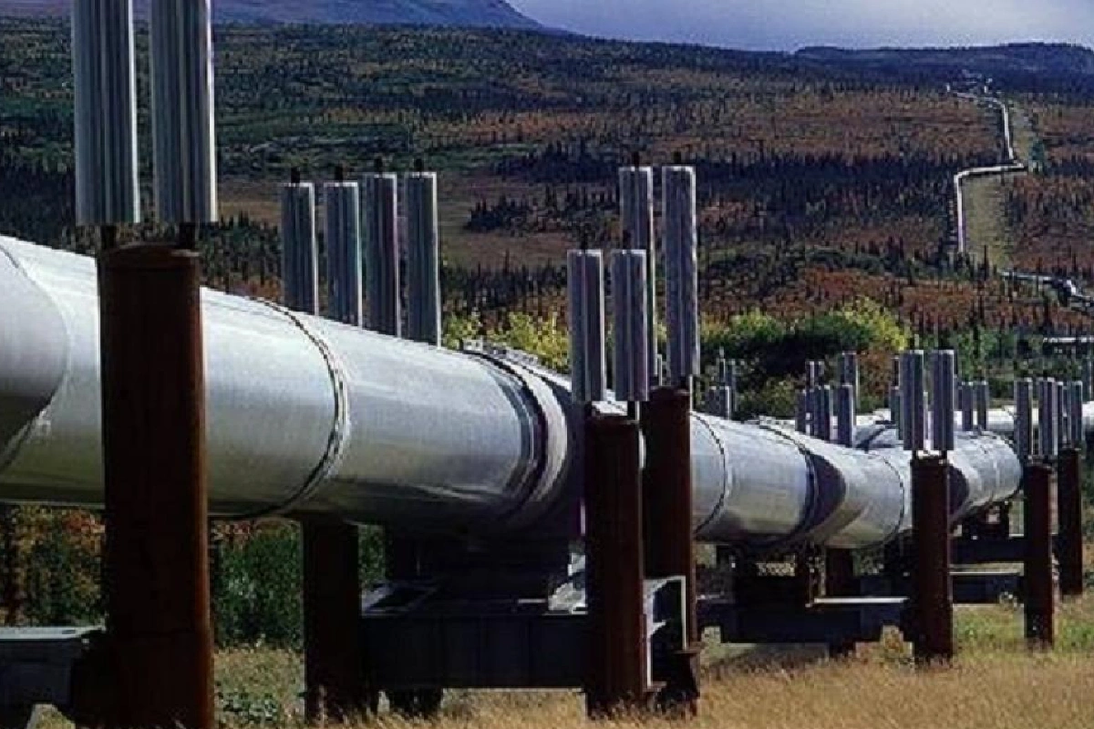 petrelaioagogos - TA NEA