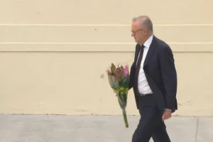 ALBO FLOWERS - TA NEA - TA NEA