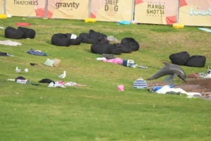 BONDI UPDATE - TA NEA - TA NEA