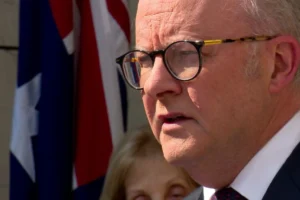 ALBO - TA NEA - TA NEA