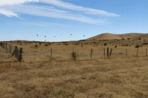 Muslim plot - TA NEA - TA NEA