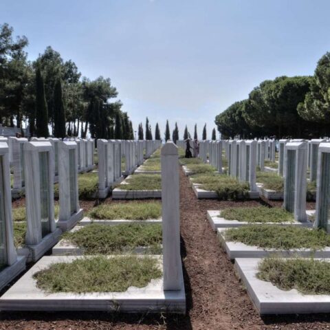 Rows of identical white tombstones in a cemetery, with a central dirt path and trees lining the grounds under a bright blue sky.